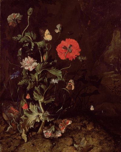 Nature morte au sol forestier avec fleurs et papillons - Rachel Ruysch